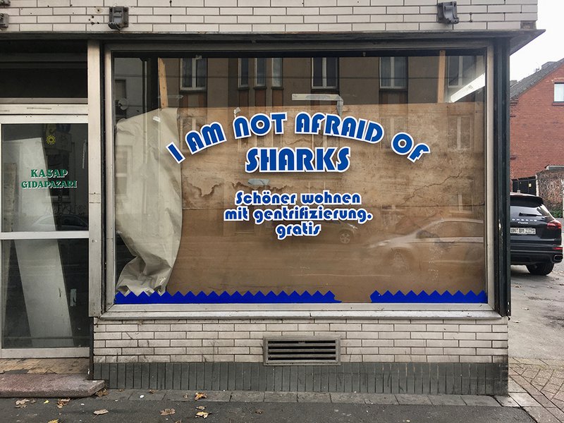 I am not afraid of sharks w.jpg
